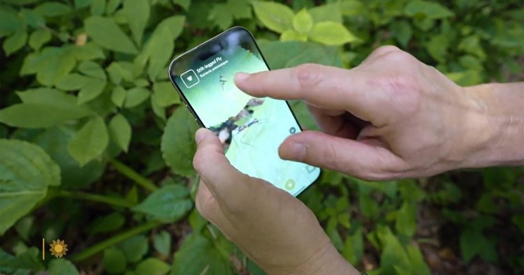 How a fun nature app aids science