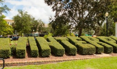 Council Members Seek to Segregate New Black District