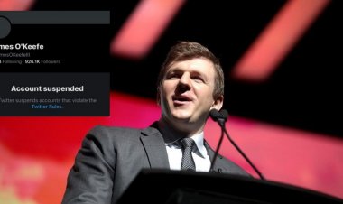 Journalist James O'Keefe Lauded For Twitter Suit