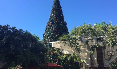 Why Does Conservative Winter Garden Commission Celebrate Fake Holiday of Kwanzaa?