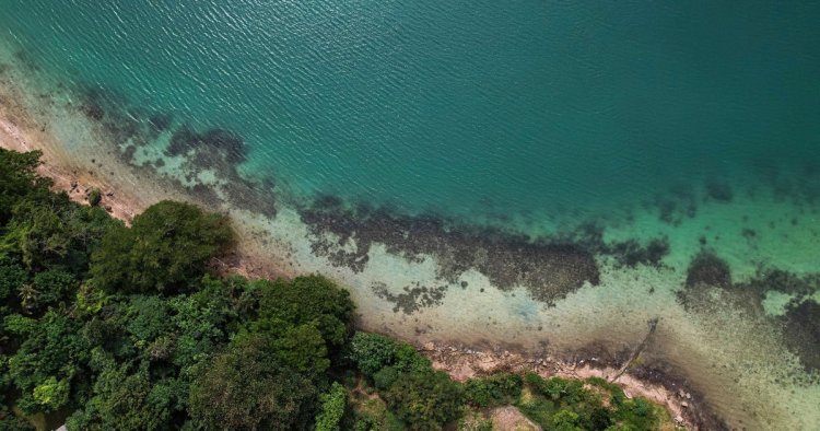 Sea levels higher than thought due to "methodological blind spot," study says